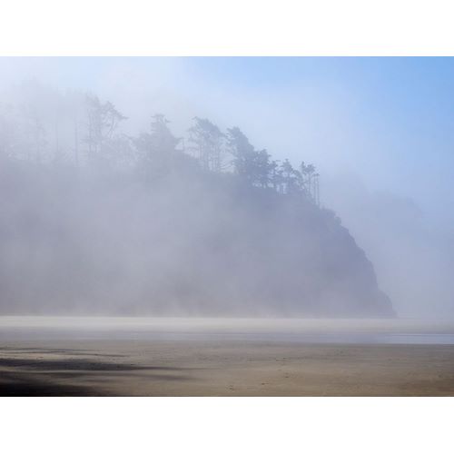 Wild, Jamie and Judy 아티스트의 Oregon-Hug Point Morning fog작품입니다.